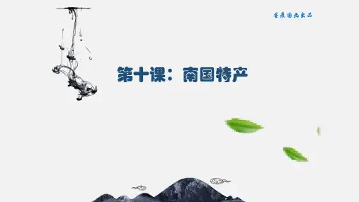少儿美术画面课件—南国特产