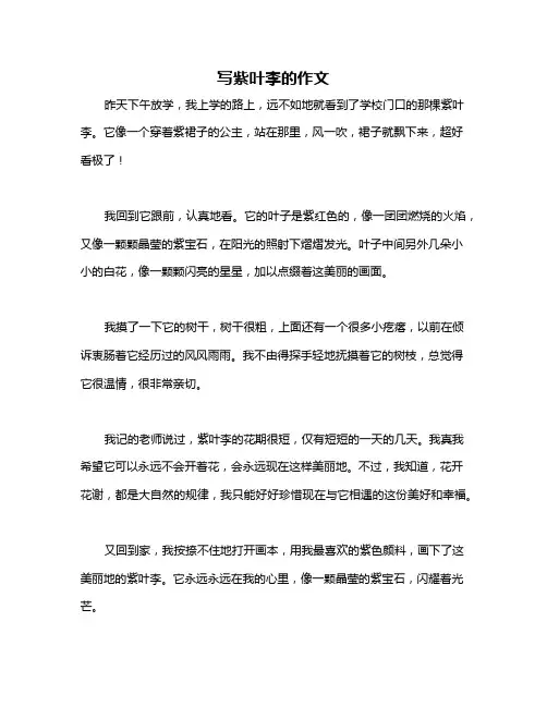 写紫叶李的作文