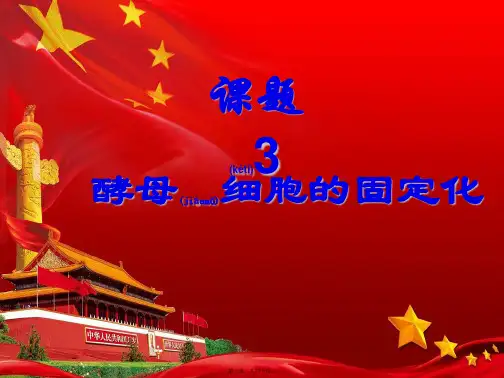 高中生物 专题四 酶的研究与应用 4.3 酵母细胞的固定化课件高二选修1生物课件