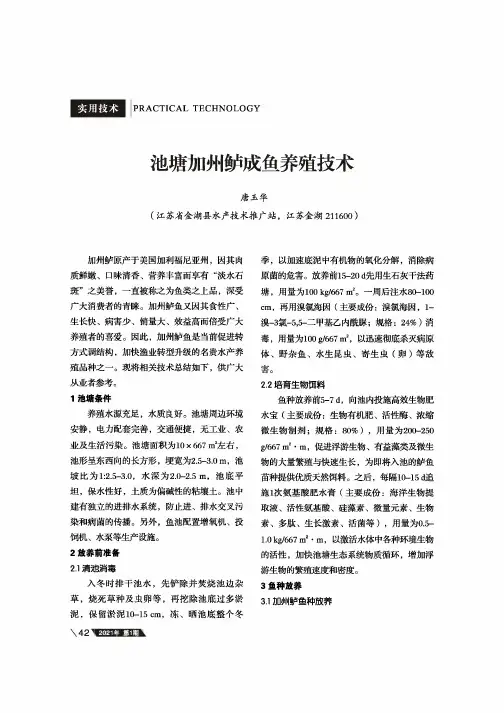 池塘加州鲈成鱼养殖技术