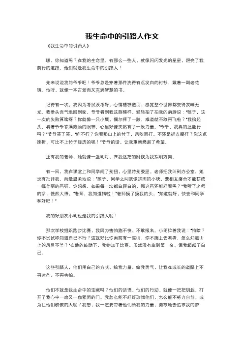 我生命中的引路人作文