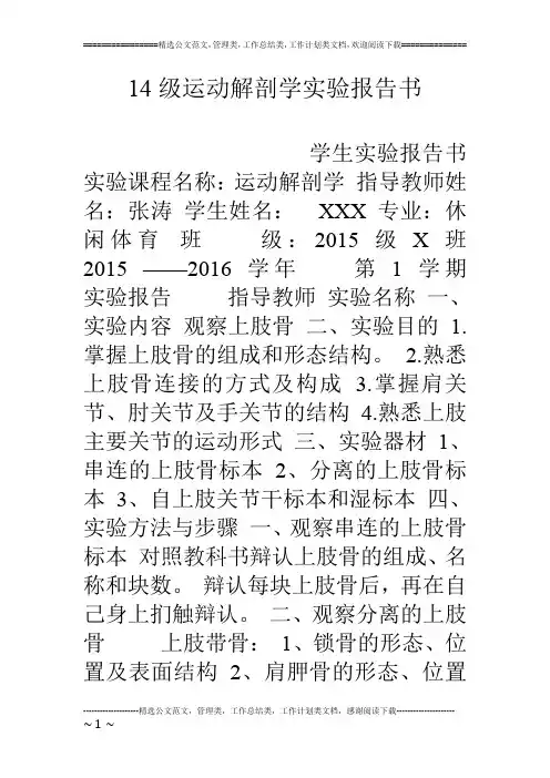 14级运动解剖学实验报告书