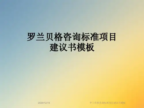 罗兰贝格咨询标准项目建议书模板