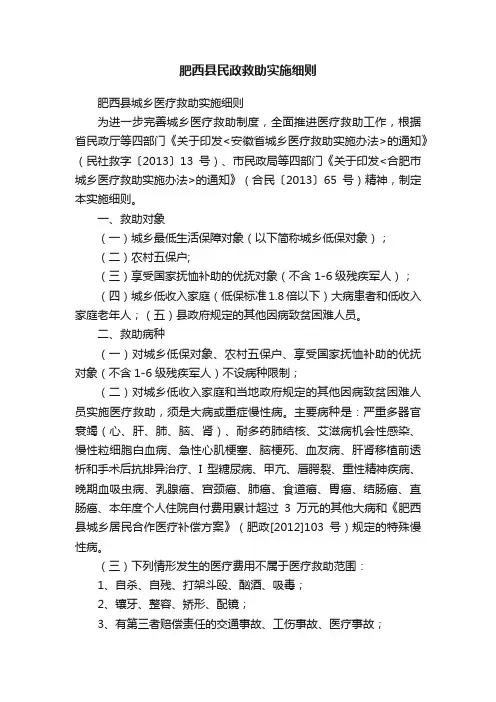肥西县民政救助实施细则