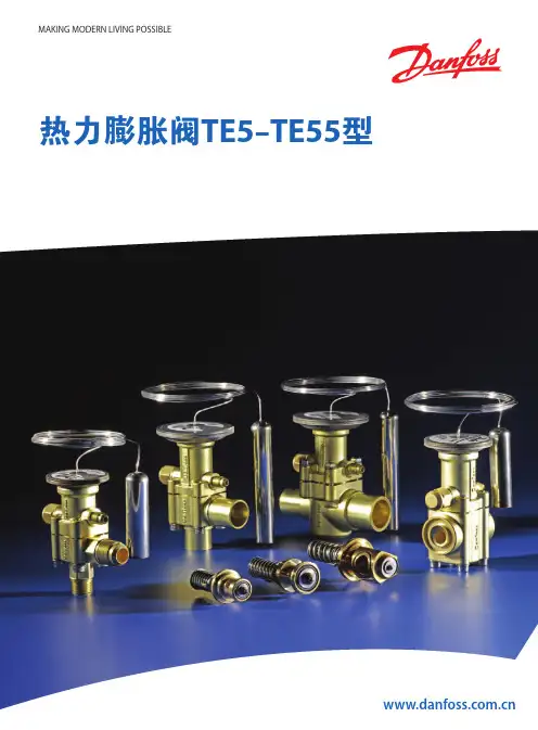 热力膨胀阀TE5-TE55(24P)