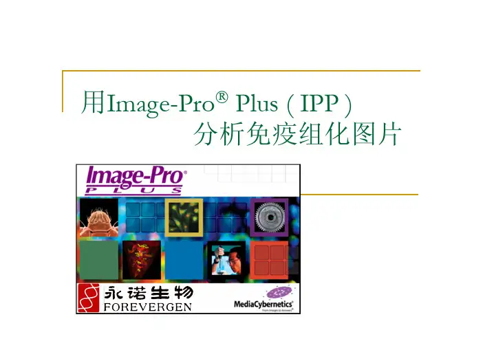 免疫组化定量分析-永诺生物-1