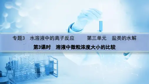 溶液中微粒浓度大小的比较课件高二上学期化学苏教版选择性必修1