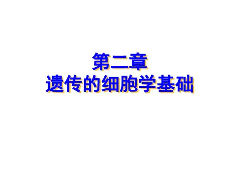 动物医学-动物遗传学第二章《遗传的细胞学基础》课件