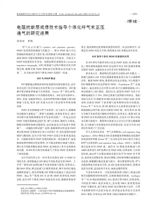 电阻抗断层成像技术指导个体化呼气末正压通气的研究进展