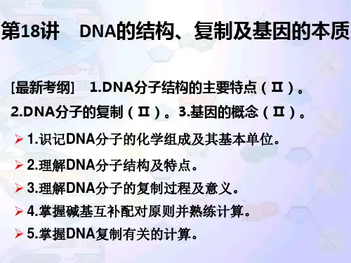 第18讲-DNA分子的结构与复制、基因的本质--一轮复习
