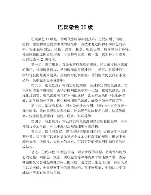 巴氏染色II级