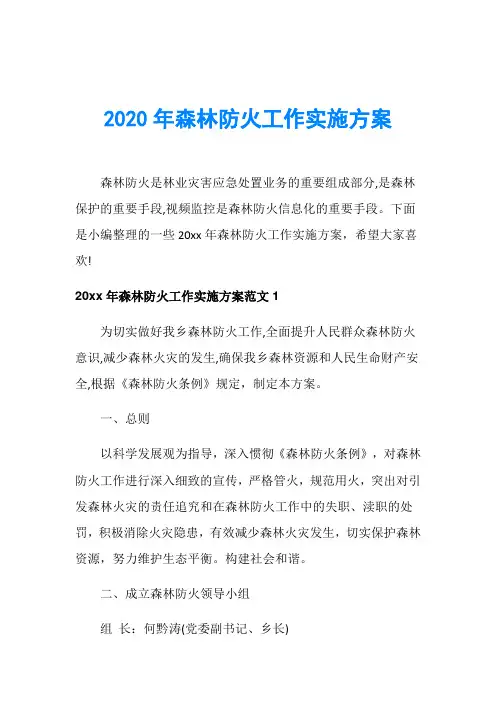 2020年森林防火工作实施方案