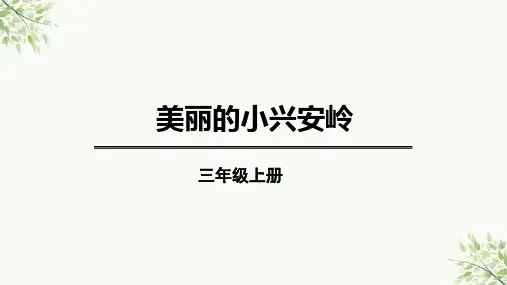 20.《美丽的小兴安岭》 课件(共30张PPT)