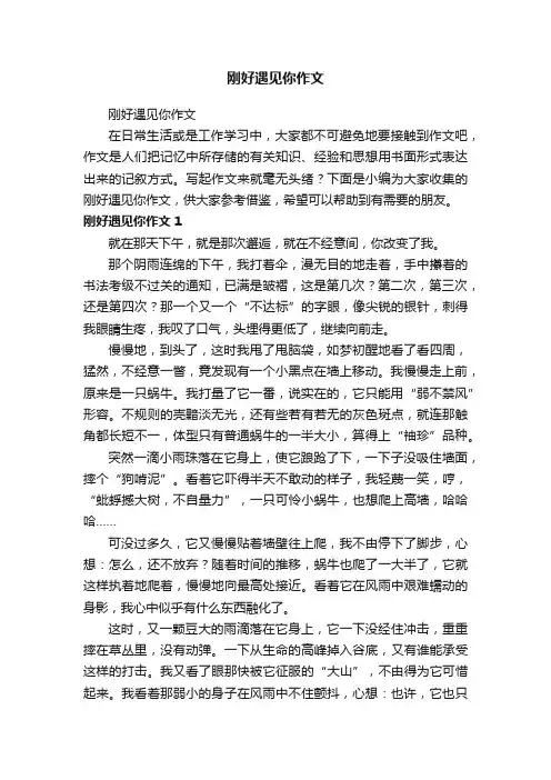刚好遇见你作文