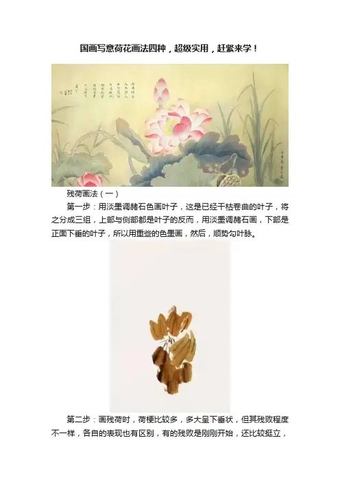 国画写意荷花画法四种，超级实用，赶紧来学！