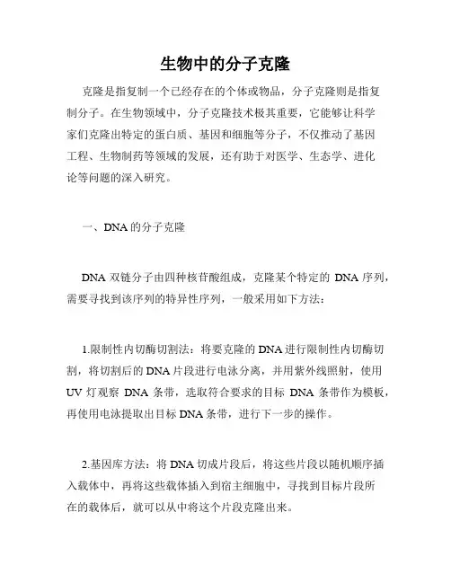 生物中的分子克隆