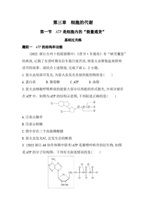 浙科版高中生物必修1第三章细胞的代谢第一节ATP是细胞内的“能量通货”练习含答案