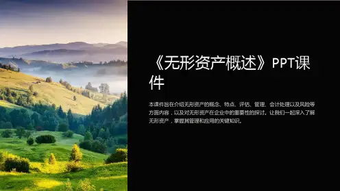 《无形资产概述》课件