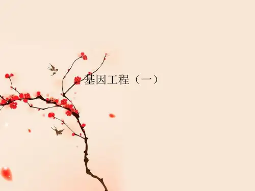 衡水中学2021届高三生物一轮复习-专题36 基因工程(一)