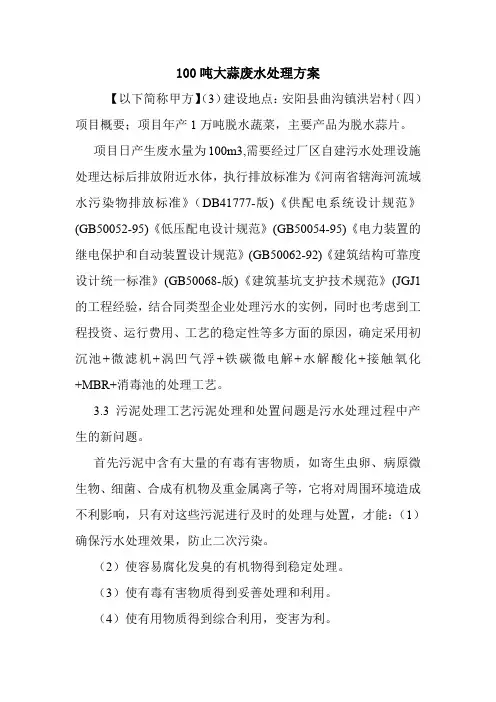 100吨大蒜废水处理方案