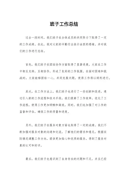 班子工作总结
