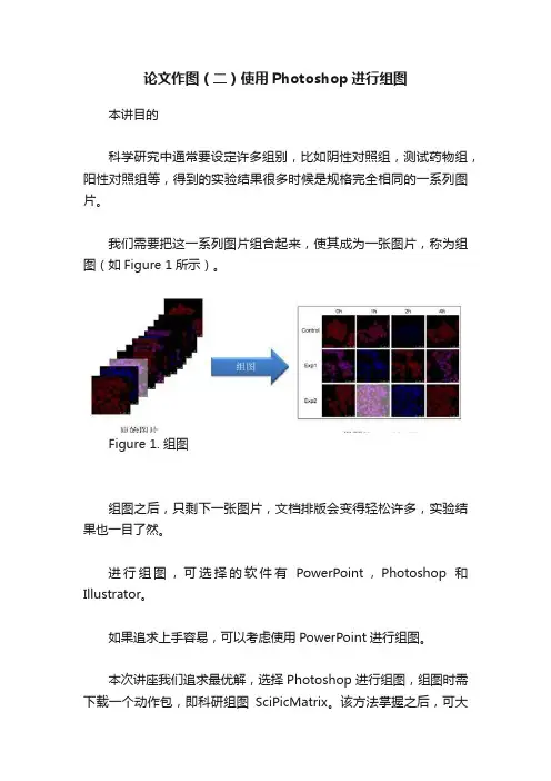 论文作图（二）使用Photoshop进行组图