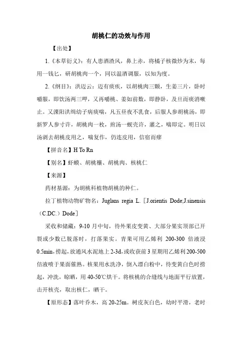 胡桃仁的功效与作用