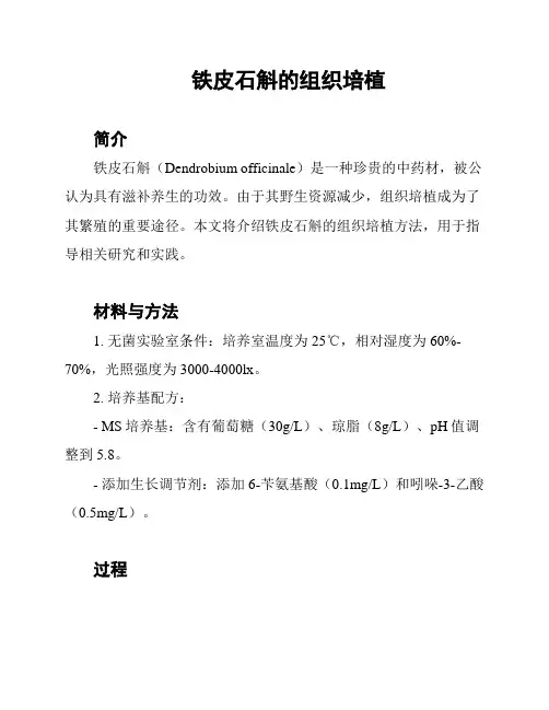 铁皮石斛的组织培植