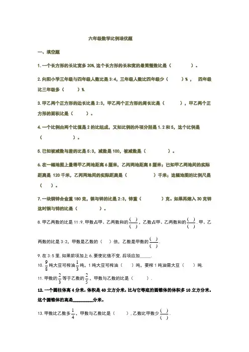 (完整word版)六年级数学比例培优题
