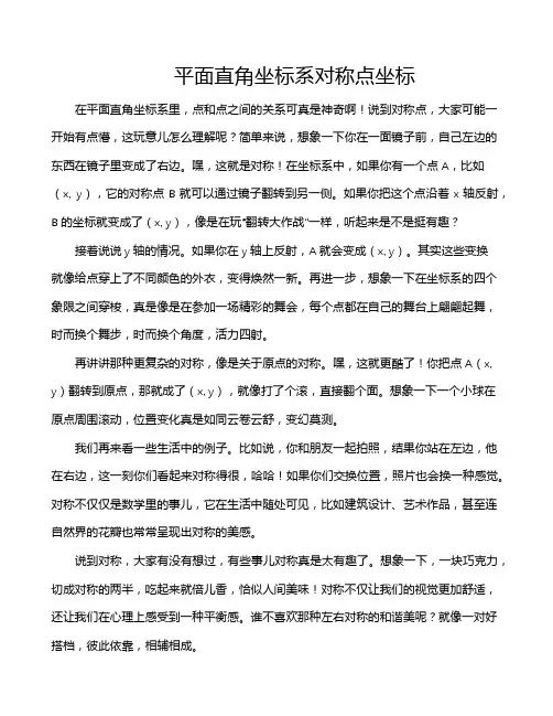 平面直角坐标系对称点坐标