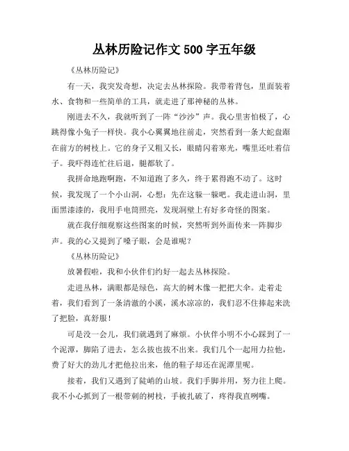 丛林历险记作文500字五年级