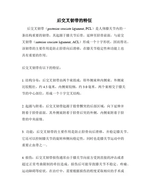后交叉韧带的特征