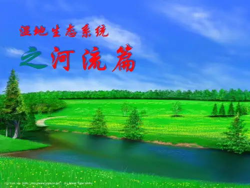河流湿地系统简介(免费)-湿地生态系统之河流篇