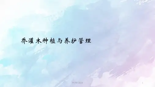 乔灌木种植与养护管理课件