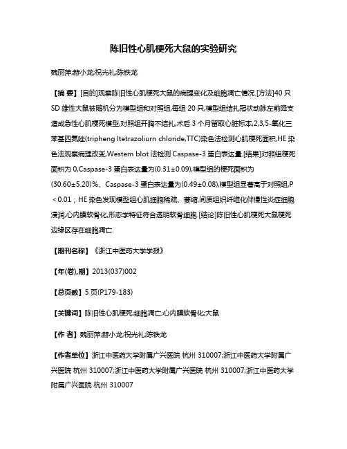 陈旧性心肌梗死大鼠的实验研究