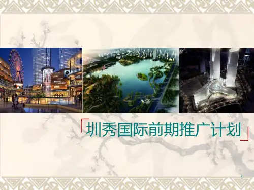 前期推广计划ppt课件