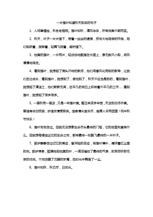 一片落叶知道秋天到来的句子