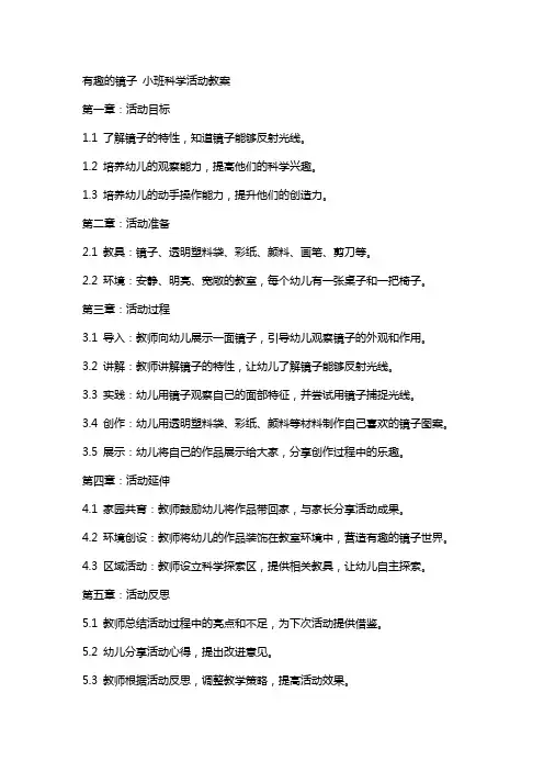有趣的镜子小班科学活动教案
