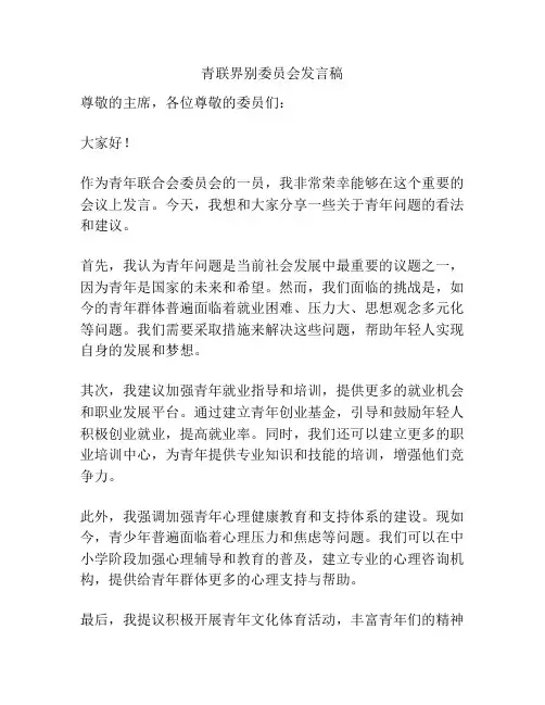 青联界别委员会发言稿