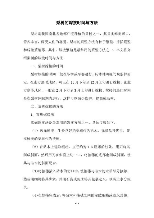 梨树的嫁接时间与方法