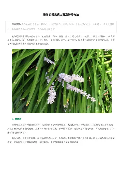 麦冬的常见病虫害及防治方法