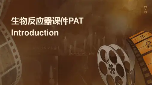 生物反应器课件PATIntroduction