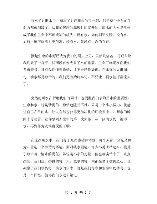 断水小学作文范文