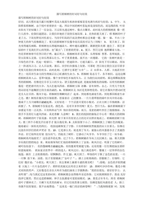 描写梧桐树的好词好句好段