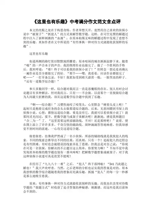 《这里也有乐趣》中考满分作文范文含点评