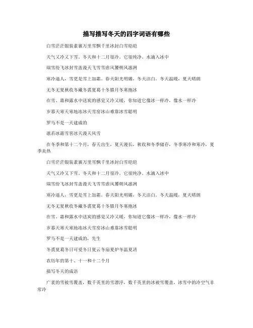 描写描写冬天的四字词语有哪些