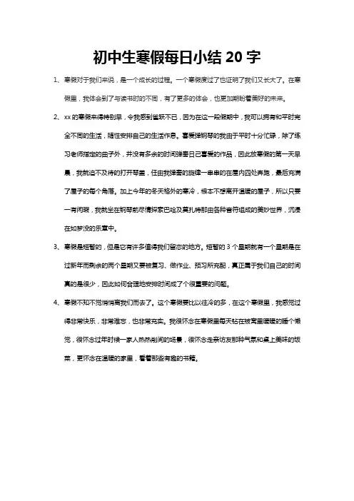 初中生寒假每日小结20字