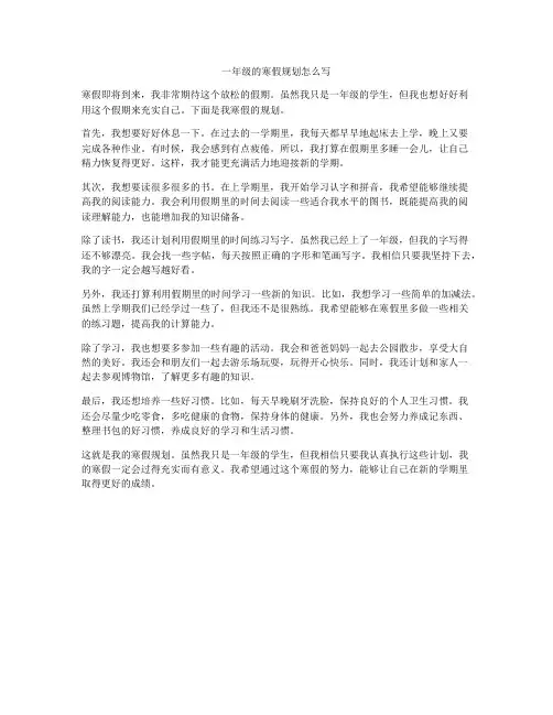 一年级的寒假规划怎么写