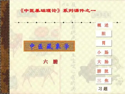 中医药基础理论六腑教程PPT课件