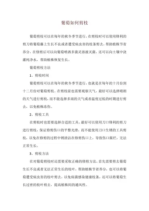 葡萄如何剪枝